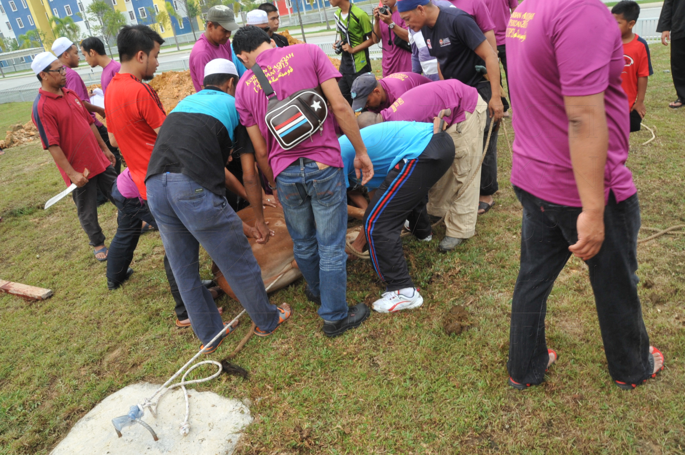 PRO15 150 KORBAN HAS 6835